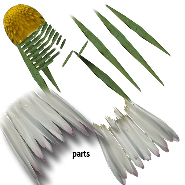 Creation of Shuttlecocks: Step 4